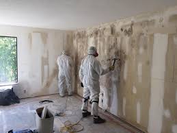 Best Asbestos and Lead Testing During Mold Inspection  in Springdale, PA